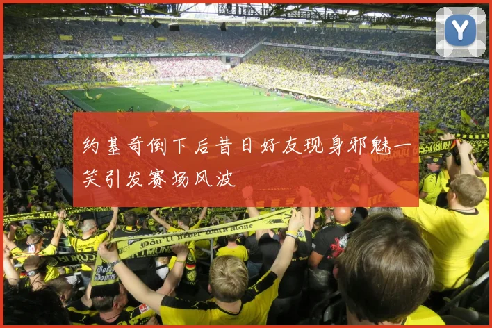 约基奇倒下后昔日好友现身邪魅一笑引发赛场风波